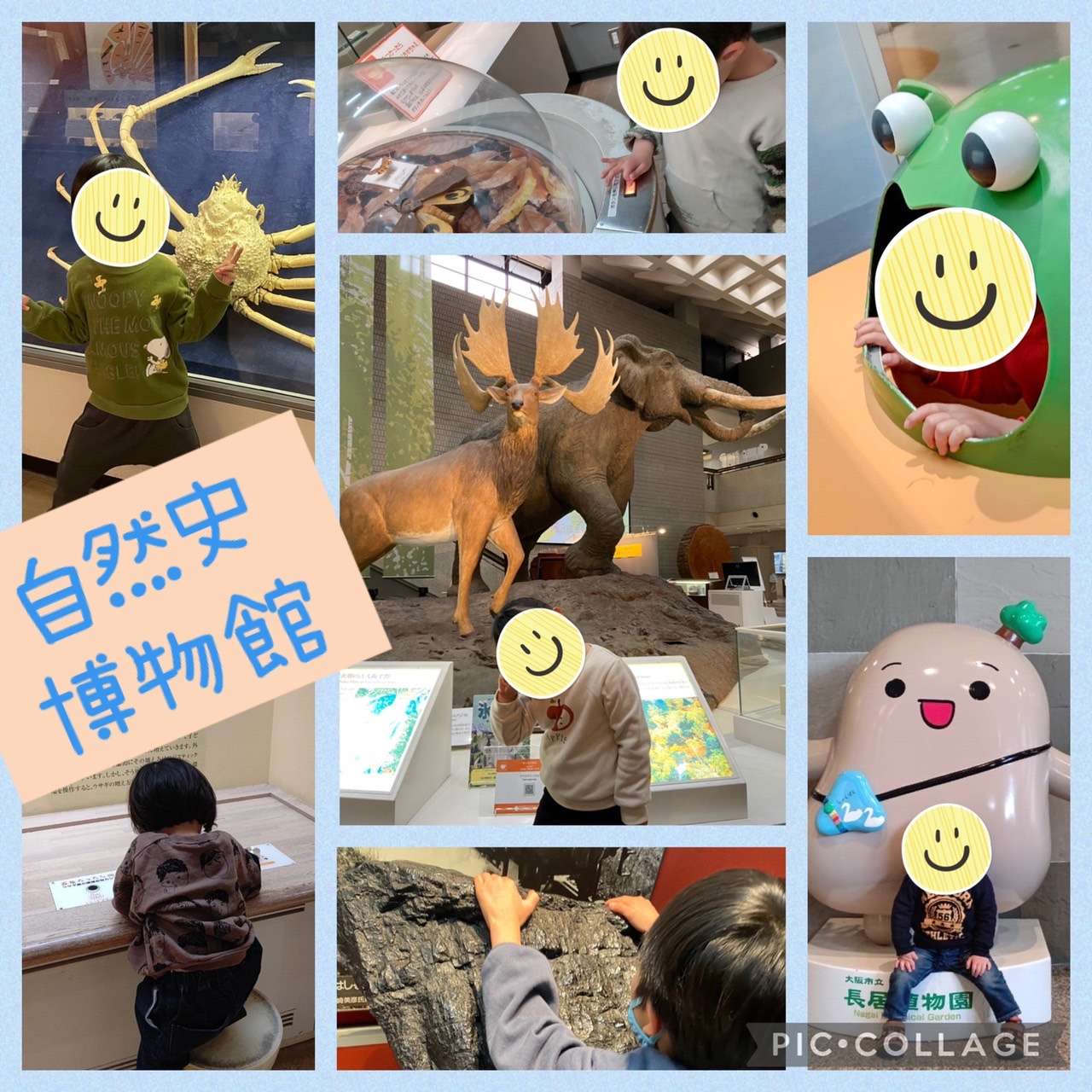 大阪市　児童発達支援　きずなはうすほっぷ　外出支援　大阪市立自然史博物館